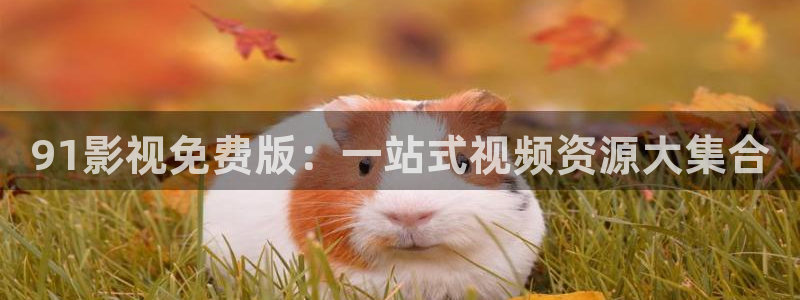 極速影院下：91影視免費(fèi)版：一站式視頻資源大集合